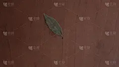 月桂叶