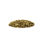 Large Gold Coins Pile.H03.2k