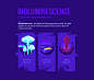 Bioluminescene : Project for Russia Today