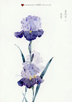 水彩花卉手绘插画水彩教程花朵壁纸头像小清新治愈 | 小熊猫课堂 - 原创作品 - 涂鸦王国插画