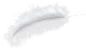 鹅毛3