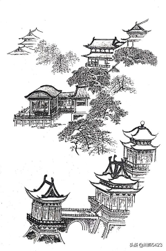 雨叶星辰采集到茶素描