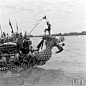 1948年，上海。端午节比赛划龙舟。