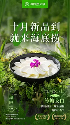 茭白海报