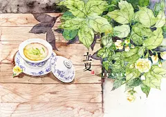 24节气——立夏