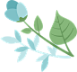 扁平植物 花卉  ins绿植 小花 郁金香  png