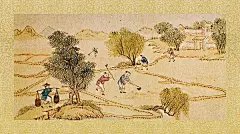 古画 棉花图册的搜索结果_百度图片搜索