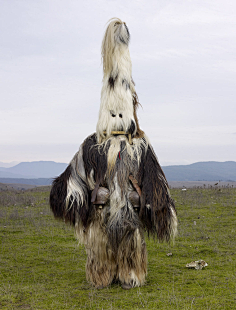 采集地下稻草人采集到生物锤形蠕虫-hammerprede       在雷德利