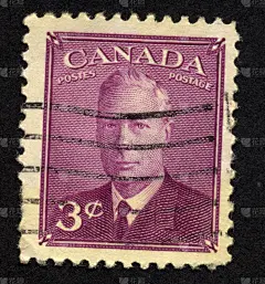 古董加拿大邮票，蜉蝣。