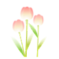 千库网_春天弥散风郁金香花朵_元素编号13599637