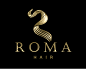 标志说明：ROMA美容美发店的LOGO创意是采用一绺头发设计成一个“R”字母的轮廓，蜿蜒而和谐。