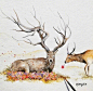 林中有鹿，鹿有孤独，头上有角，心中有梦。by Jongkie ​​​​