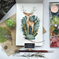 Ｔｏｎｉａ Ｔｋａｃｈ (@tonia_tkach)的ins主页 · Lookins · Instagram网页版 (Tofo.me)