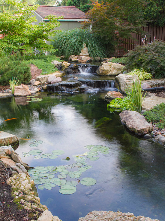 10个"庭院鱼池"设计案例,网友直呼:个.