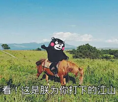 拥有一大波熊本熊表情包是一种什么样的体验？ - 搞笑 - 知乎