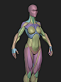 Stylized Female Blockout v1