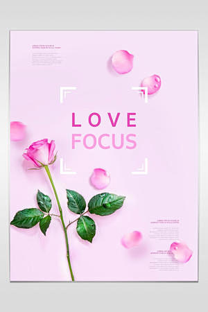 粉色玫瑰花朵花瓣感恩节海报模板