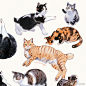 浮世绘大师歌川国芳笔下的猫