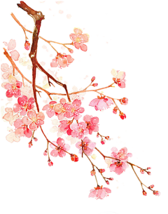 拾光---采集到女频透明素材