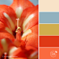 bs-color-palette-red-lily