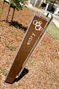 Wood & Wood Design » Projects » Signage & Wayfinding » Synergy