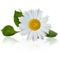 ef7355d4dbe42f05876fb3c8ae56ba4cce9c77363a7f8-oYaFAv