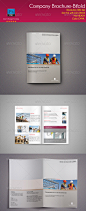 Company Brochure-Bifold on Behance