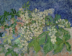 SKY08081314采集到至爱梵高 Van Gogh
