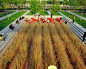 Tianjin Qiaoyuan Park by Turenscape Landscape Architecture