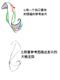 头发小教程 - 小红书