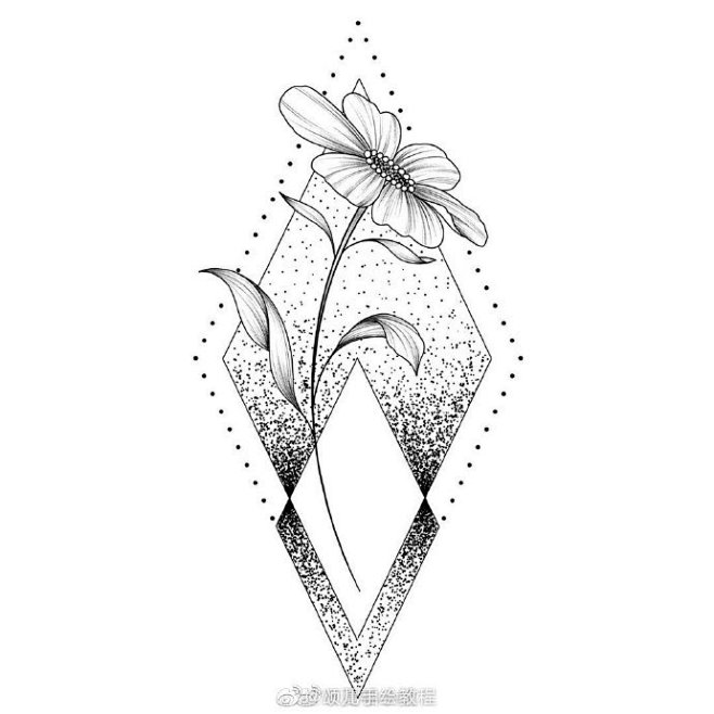 画画干货线描花卉点和线的作用很得当呀图源网络侵删67676767