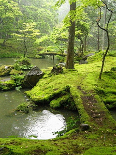 Kirsi（银）采集到鱼池庭院