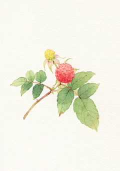 洋咩咩yy采集到插画风海报