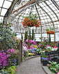 盘点全球最受欢迎的温室花园 : 盘点全球最受欢迎的温室花园,植物园,维多利亚,兰花,植物,热带