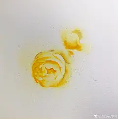 小花的水彩～镜花水月～（ps：镜花水月里～看繁花散尽～出自：明小花招牌水彩花卉班～第七课～）水彩水彩绘画水彩画入门#水彩画教程#水彩教程水彩教程水彩插画  @水彩达人 @水彩画教程 @水彩画入门 @水彩教程 ​​​#身边的艺术#@微博艺术 ​​​ ​​​​