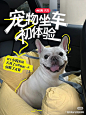 微信图片_20240823103908