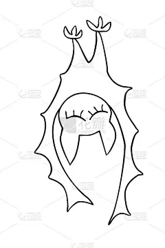 可爱的蝙蝠卡通涂鸦风格。矢量轮廓插图孤立在白色背景。用于涂色书页，万圣节设计，贺卡，马达开发