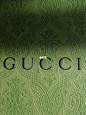 我的Gucci复古绿盒，老公的老虎印花手拿包。