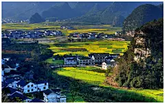 春到贵州万峰林 油菜花开醉迷人