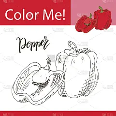 教育用蔬菜着色页。手绘辣椒矢量图