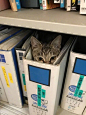 躲猫猫 ~ ​​​​