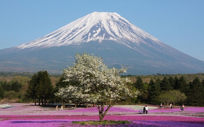 唯美富士山高清风景桌面壁纸桌面壁纸3