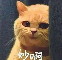 微信图片_20240425115117