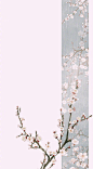 画师：伊吹五月