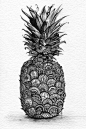 Pineapple. Print of Pen and Ink with Graphite. Zentangle inspired.