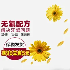 牙膏宣传海报_新图网 https://ixintu.com 菊花 png 无氟配方 解决牙龈问题