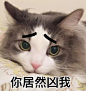 才抽10个不够刺激啊，那这个暑假就来300个吧？！！<br/>第二波：转+关本博，婆婆明晚20点（26号）再抽10位各送微博会员1个月，就是要爱各位小仙女们，来一起斗图啊 ​​​​