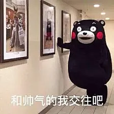 熊本熊表情包－堆糖，美好生活研究所