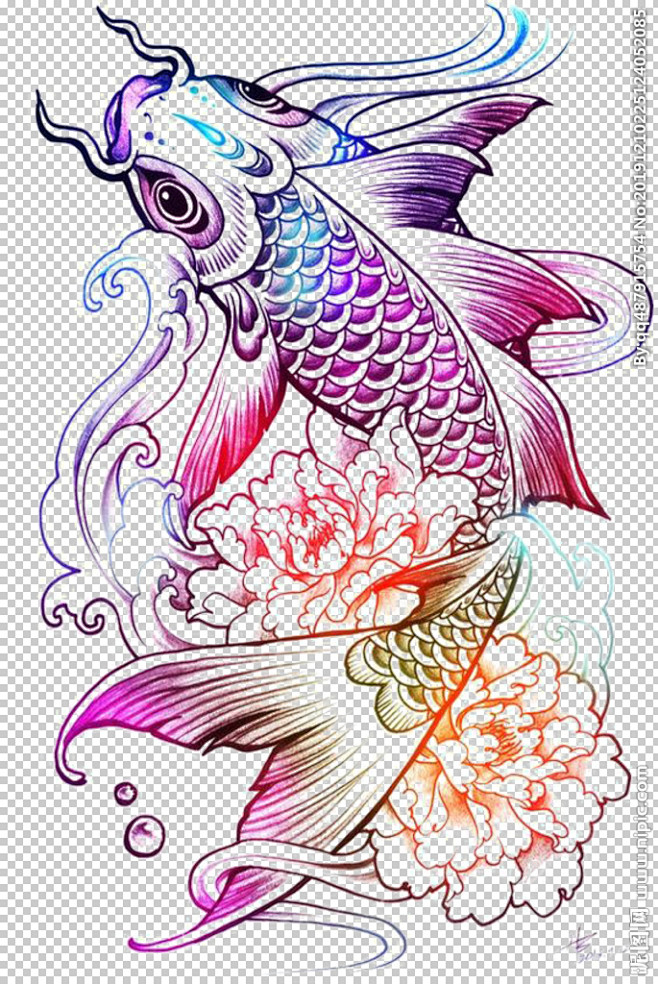 锦鲤鱼王