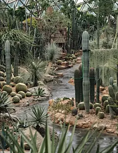 热带沙生植物天花板！｜上海辰山植物园 - 小红书